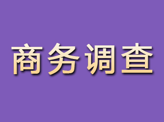 浦江商务调查